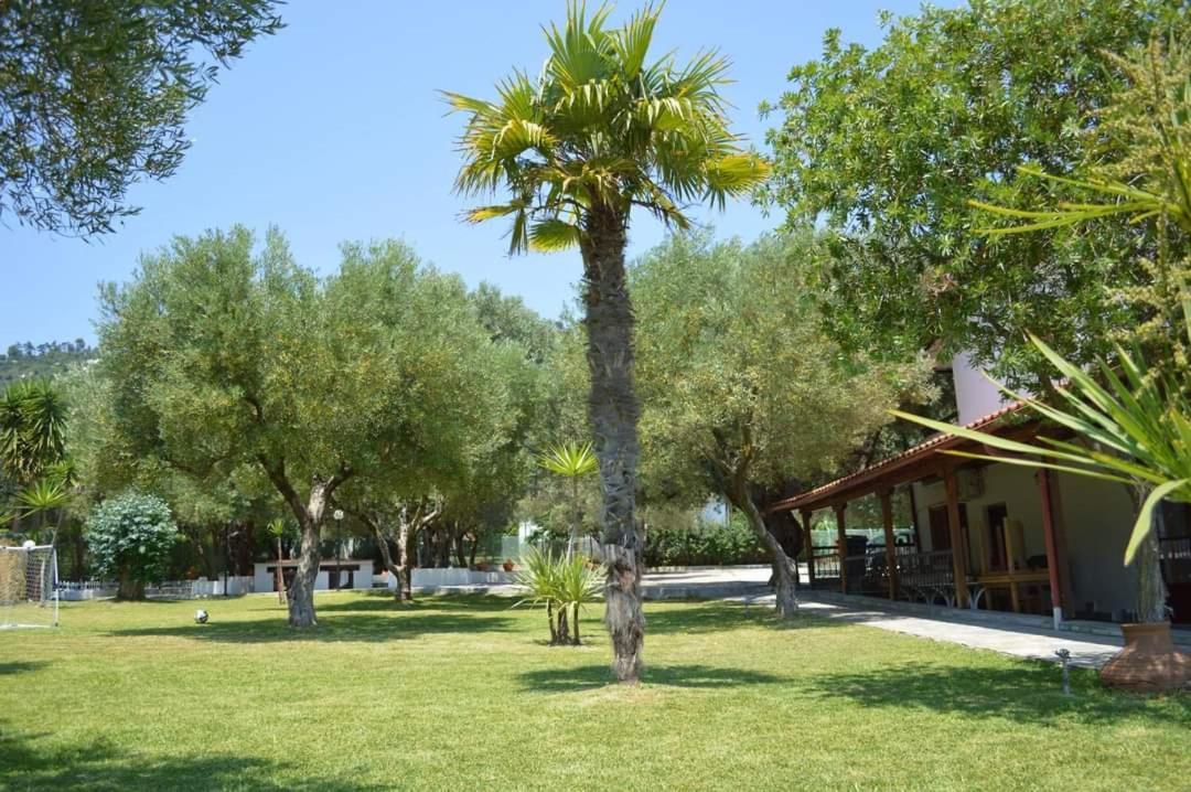 Delfino Hotel Mola Kalyva Dış mekan fotoğraf